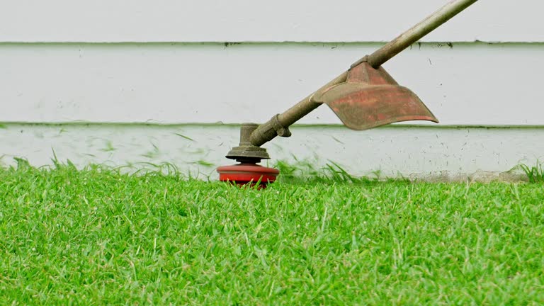 Grass Overseeding in Mehlville, MO